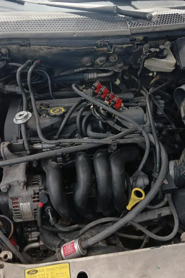 Ford Focus 1.6 Çıkma Komple Motor 