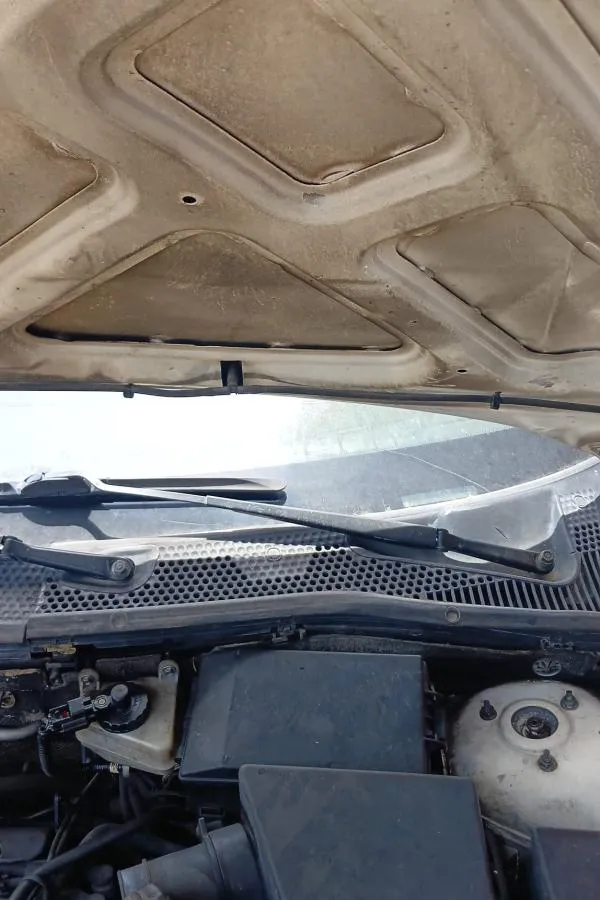 Ford Focus Çıkma Ön Cam Izgarası