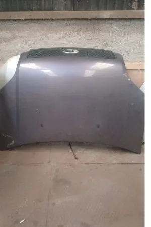 Ford Fusion Ön Kaput Çıkma 